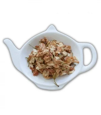Flor de Jasmim